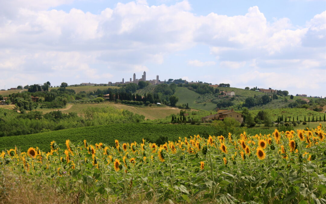 Cycle Through Tuscany: The Freedom of a Self-Guided Italian Bike Tour
