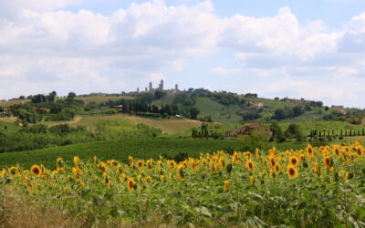 Cycle Through Tuscany: The Freedom of a Self-Guided Italian Bike Tour