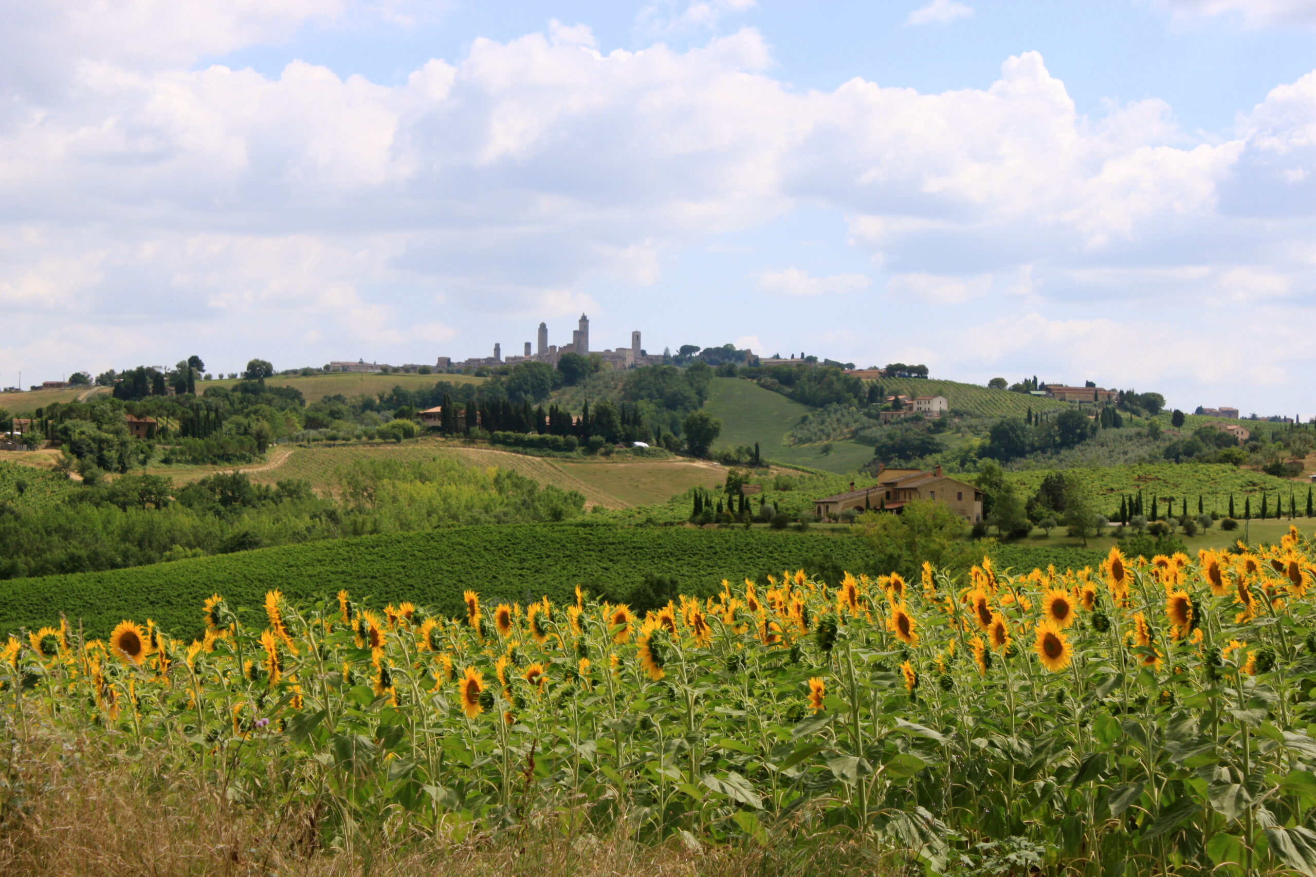 San Gimignano IMG_3518 (1)