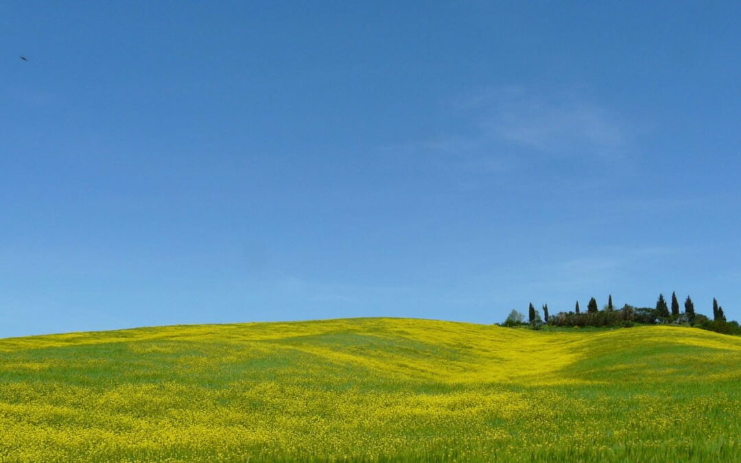 The Heart of Tuscany Bicycle Tour 6-Night