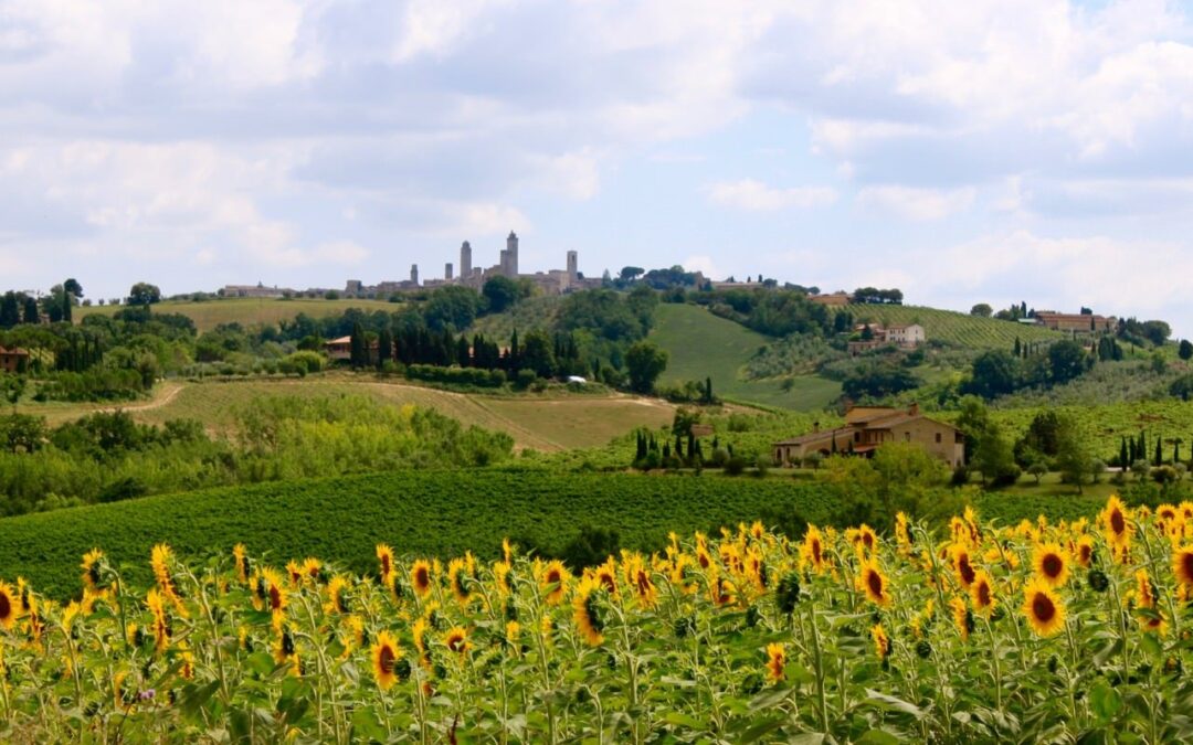 The Heart of Tuscany Cycling Tour 10-Night