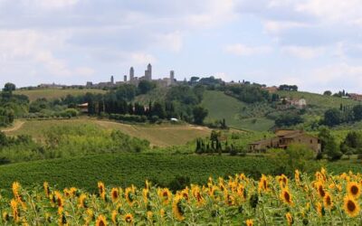 Highlights of Chianti Bike Tours