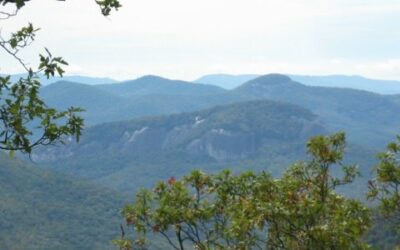 Ride, Eat, and Explore Western North Carolina on an Asheville Cycling Vacation