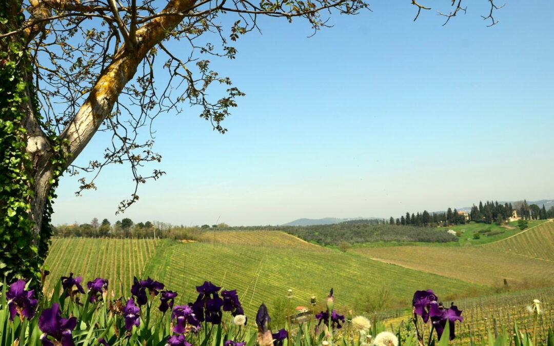 Relaxed Tuscany Bicycle Tour 4 Night