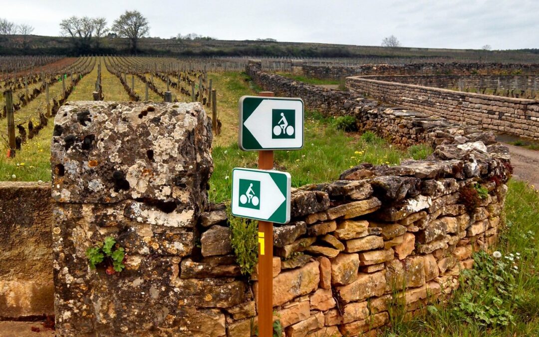 A Taste of Burgundy Bicycle Tour 7 Night