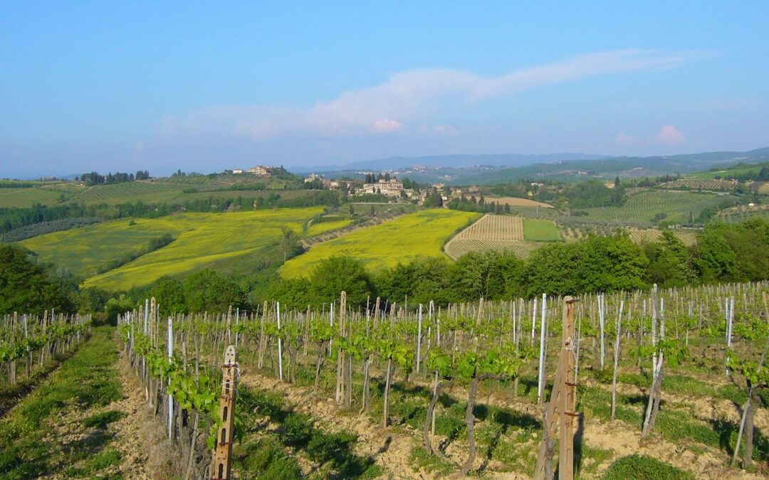 Relaxed Tuscany Bicycle Tour 7 Night