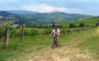 Living in the Hills of Tuscany