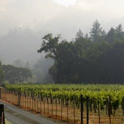 California Wine Country, United States