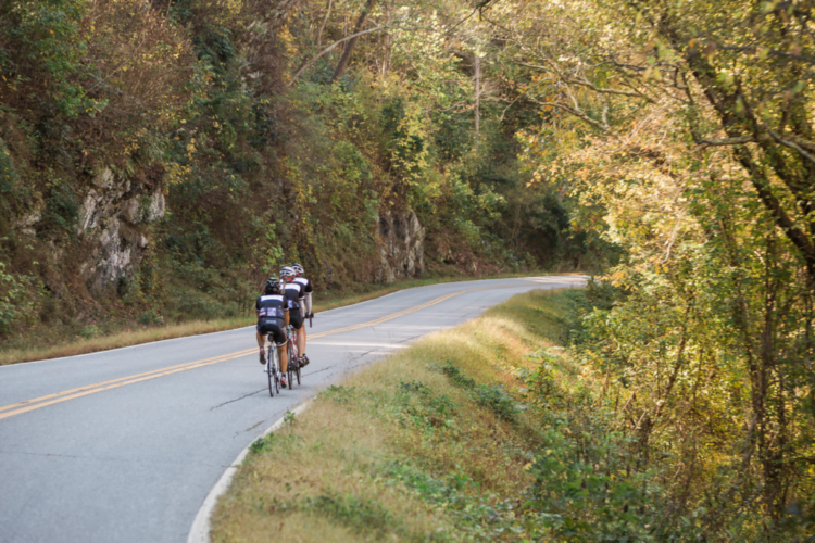 Road biking during a North Carolina bike tour