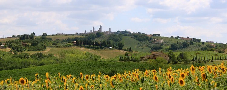 san gimignano during a tuscany cycling holiday