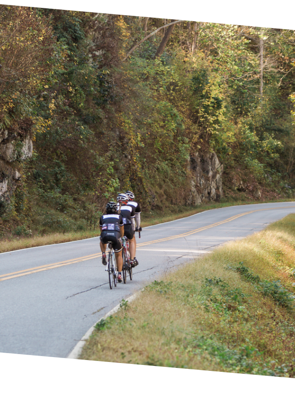 Our Favorite Road Ride in Asheville and our Favorite Mountain Bike Ride ... - Elk Mountain RiDe