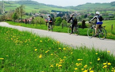 Cycle Through Burgundy: The Freedom of a Self-Guided Wine Tour