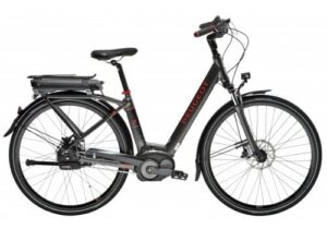 Burgundy eBike