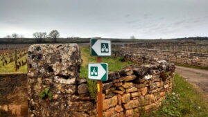 Riding markers throughout Burgundy