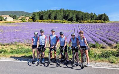 Cycle Through Provence: The Freedom of a Self-Guided French Bike Tour
