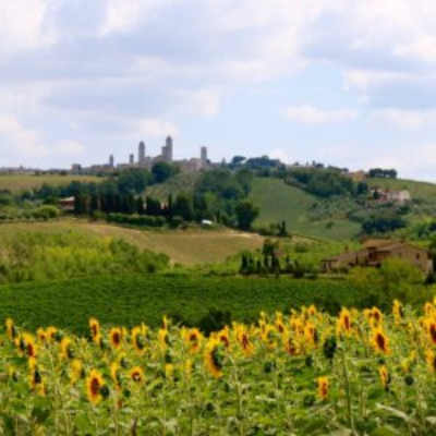 Cycle Through Tuscany: The Freedom of a Self-Guided Italian Bike Tour
