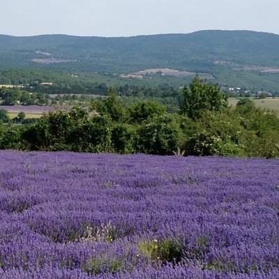couple of cyclists riding along a relaxed Tuscany road
